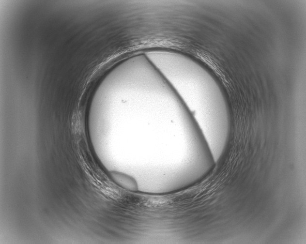 X0000068820583200605050944