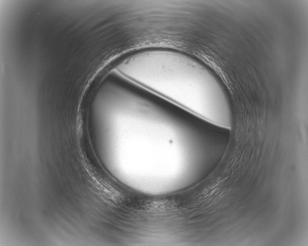 X0000068820584200605050944