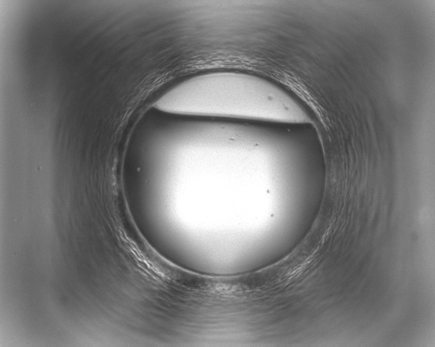 X0000068820585200605050944