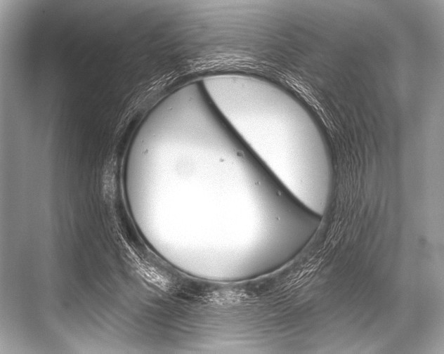 X0000068820586200605050944