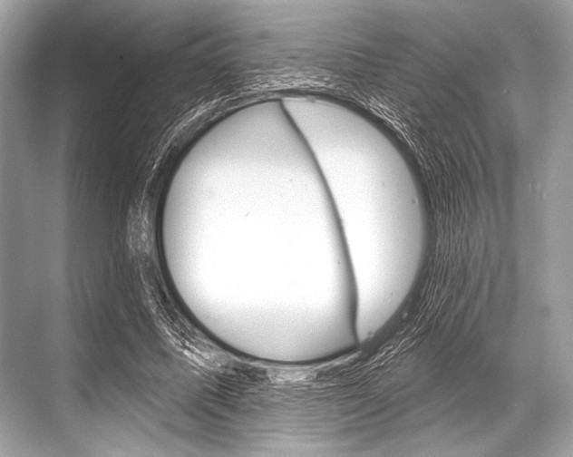 X0000068820587200605050944