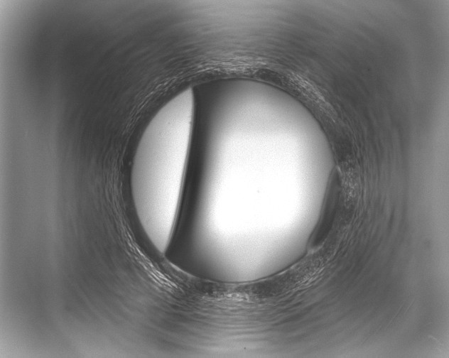 X0000068820593200605050944