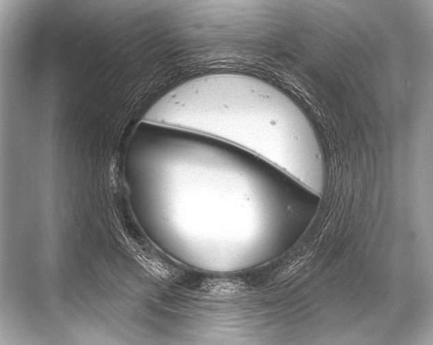 X0000068820597200605050944