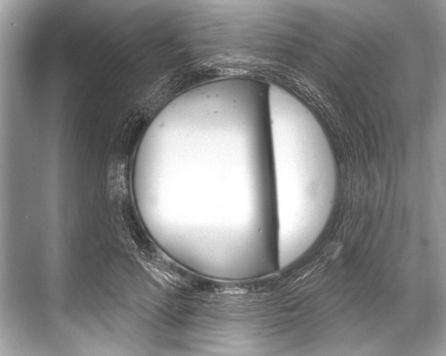 X0000068820598200605050944