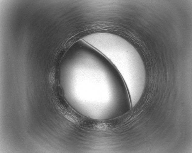 X0000068820600200605050944