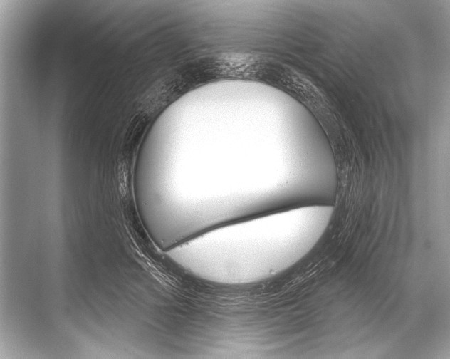 X0000068820602200605050944