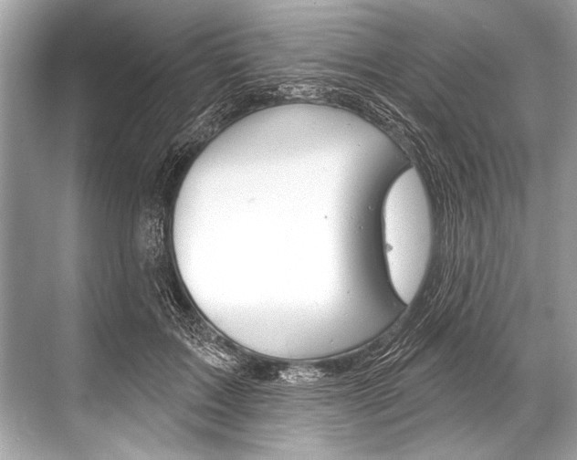 X0000068820603200605050944