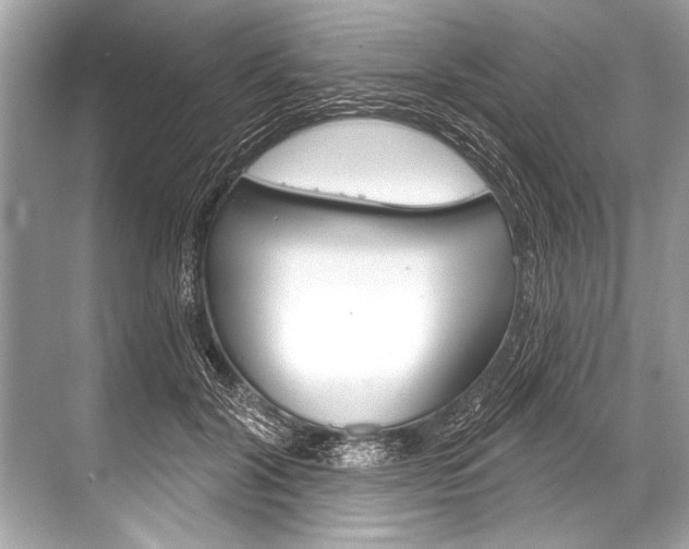 X0000068820604200605050944