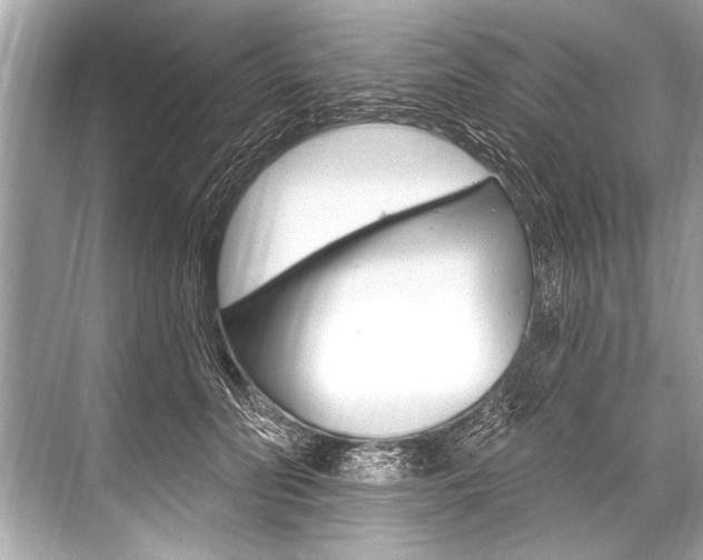 X0000068820606200605050944