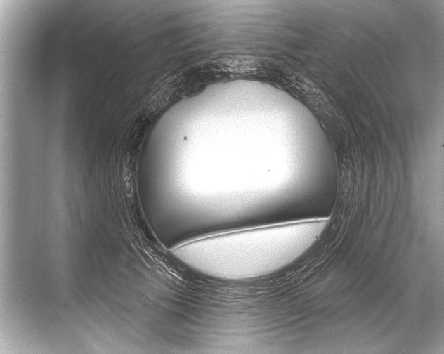 X0000068820609200605050944