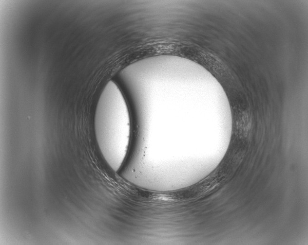 X0000068820610200605050944