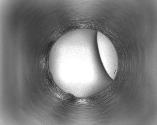 X0000068820611200605050944