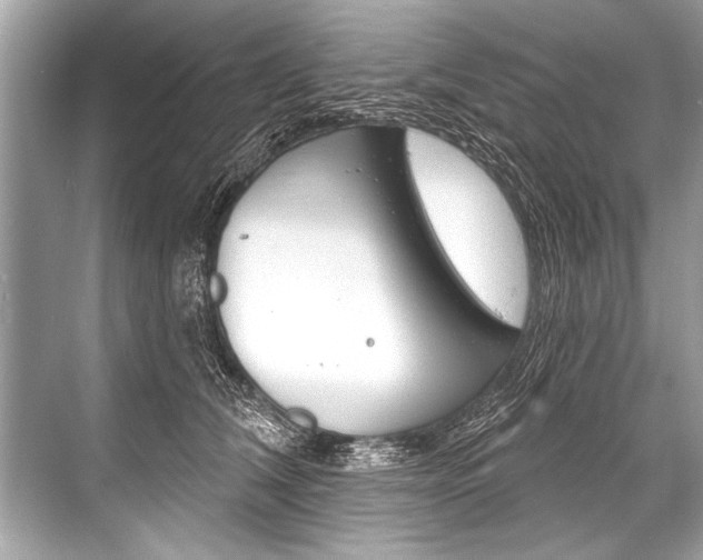 X0000068820612200605050944