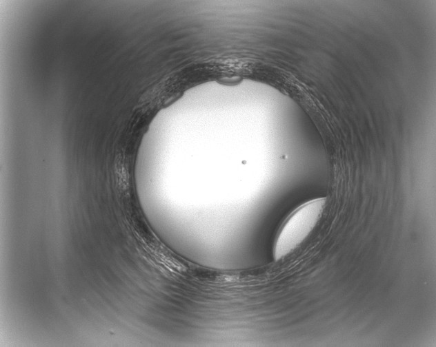 X0000068820613200605050944