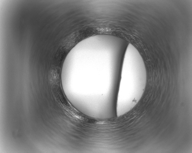 X0000068820614200605050944