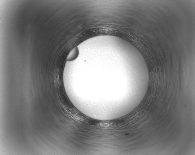 X0000068820615200605050944