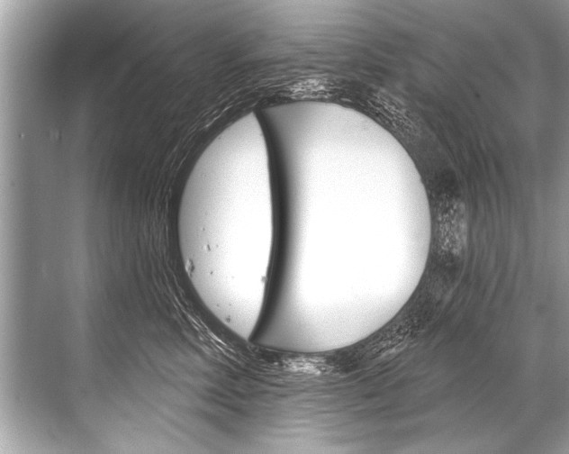 X0000068820618200605050944