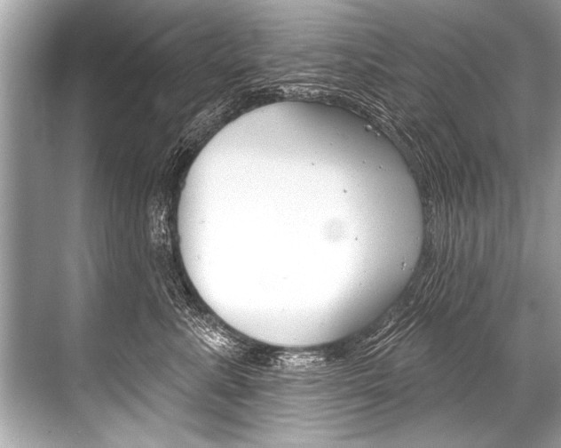 X0000068820619200605050944