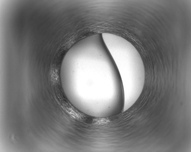 X0000068820621200605050944