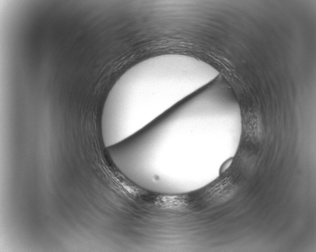 X0000068820622200605050944