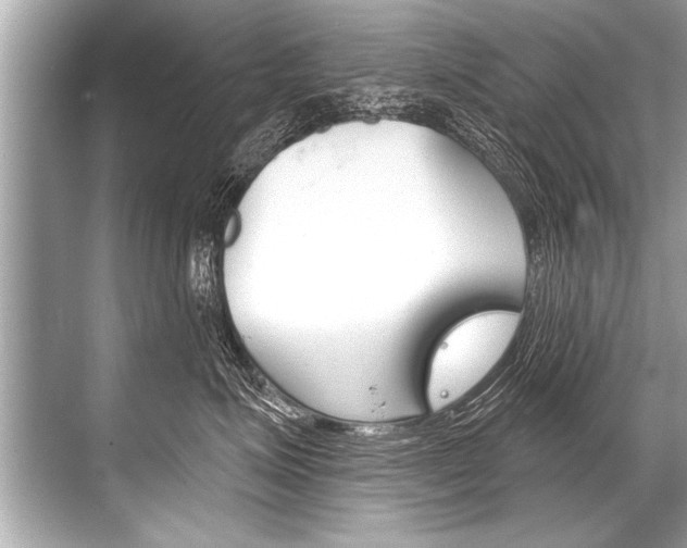 X0000068820623200605050944