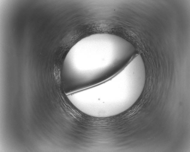 X0000068820624200605050944