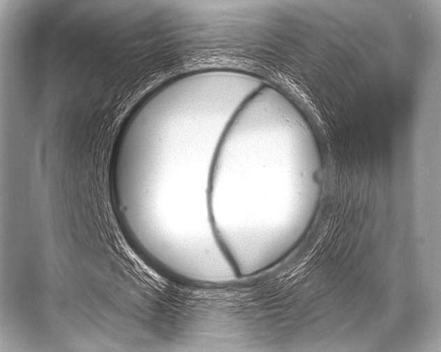 X0000068820625200605050943