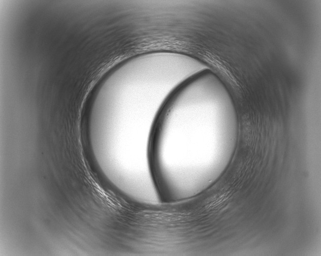 X0000068820626200605050943