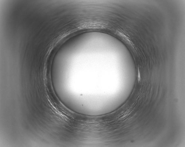 X0000068820627200605050943