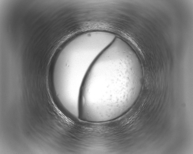 X0000068820629200605050943