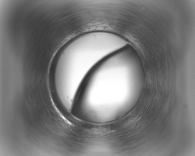 X0000068820630200605050943