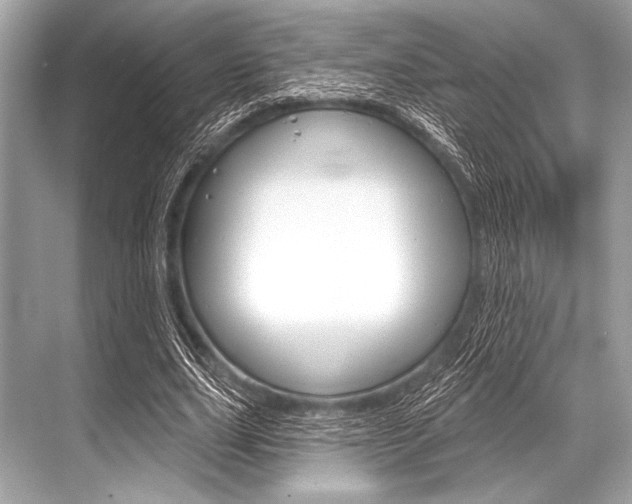 X0000068820631200605050943