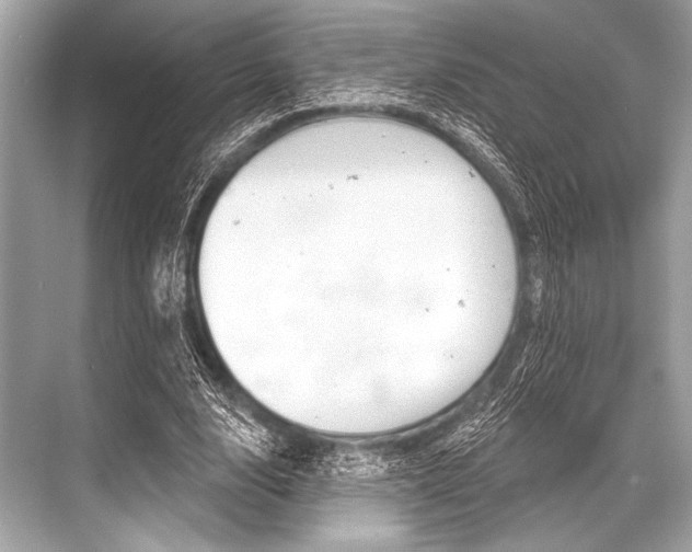 X0000068820632200605050943