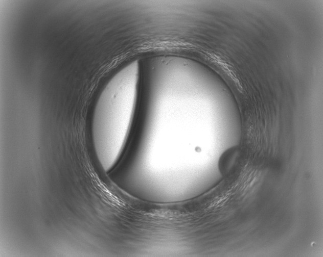 X0000068820633200605050943