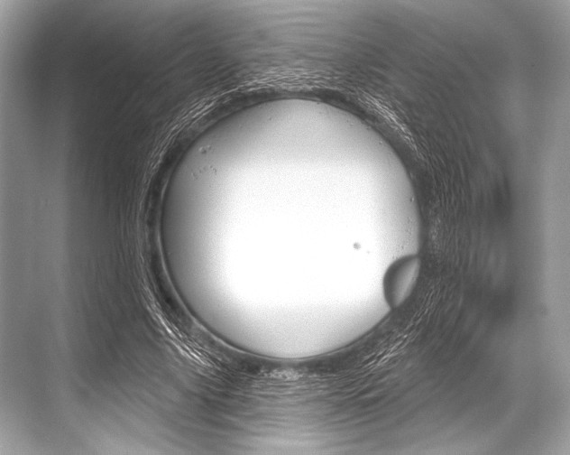 X0000068820635200605050943