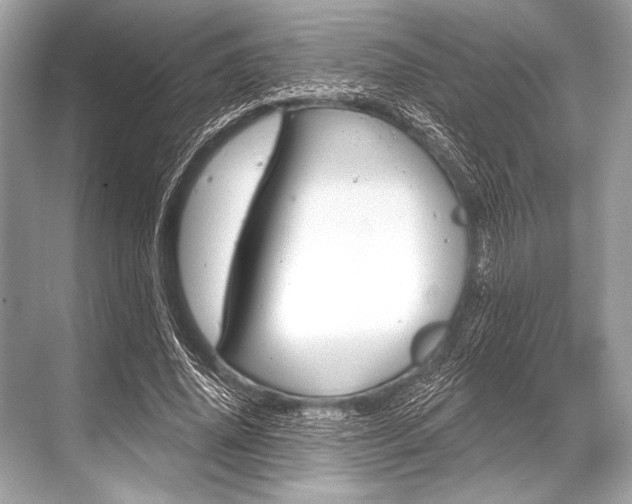 X0000068820636200605050943