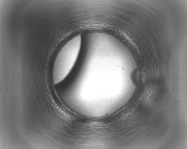 X0000068820637200605050943