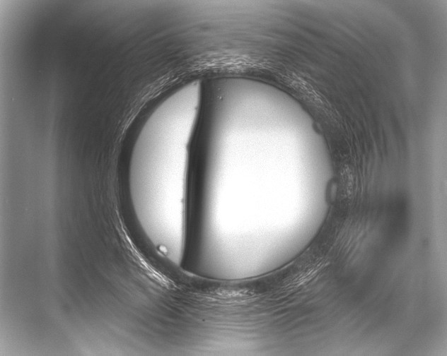 X0000068820638200605050943