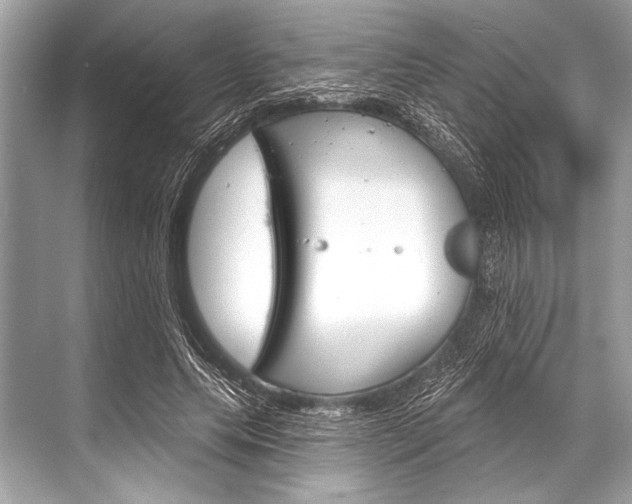 X0000068820639200605050943