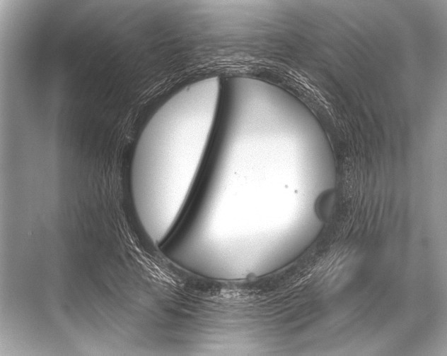 X0000068820641200605050943