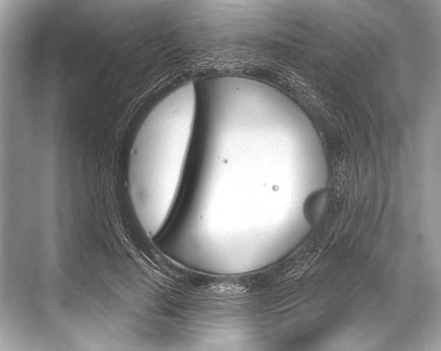 X0000068820644200605050943