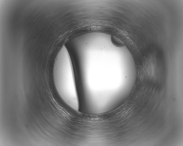 X0000068820645200605050943