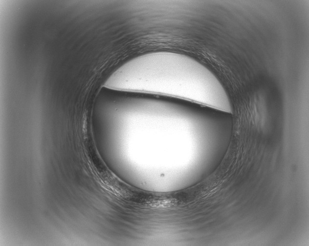 X0000068820646200605050943