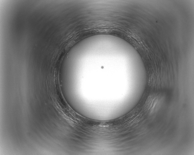 X0000068820647200605050943