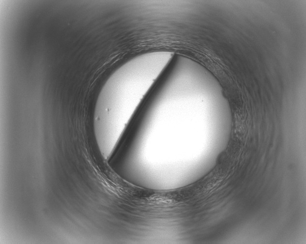 X0000068820648200605050943