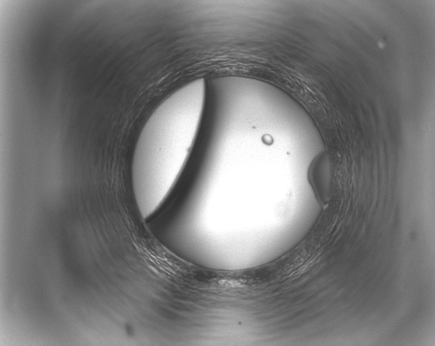 X0000068820649200605050943