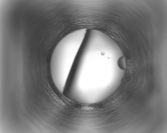 X0000068820650200605050943