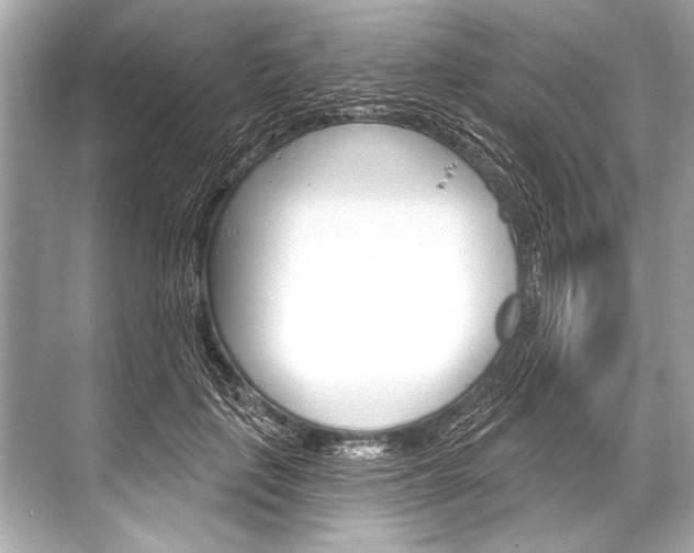 X0000068820651200605050943