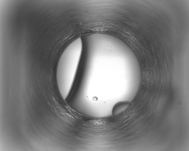 X0000068820652200605050943