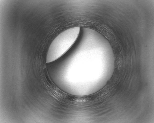 X0000068820653200605050943